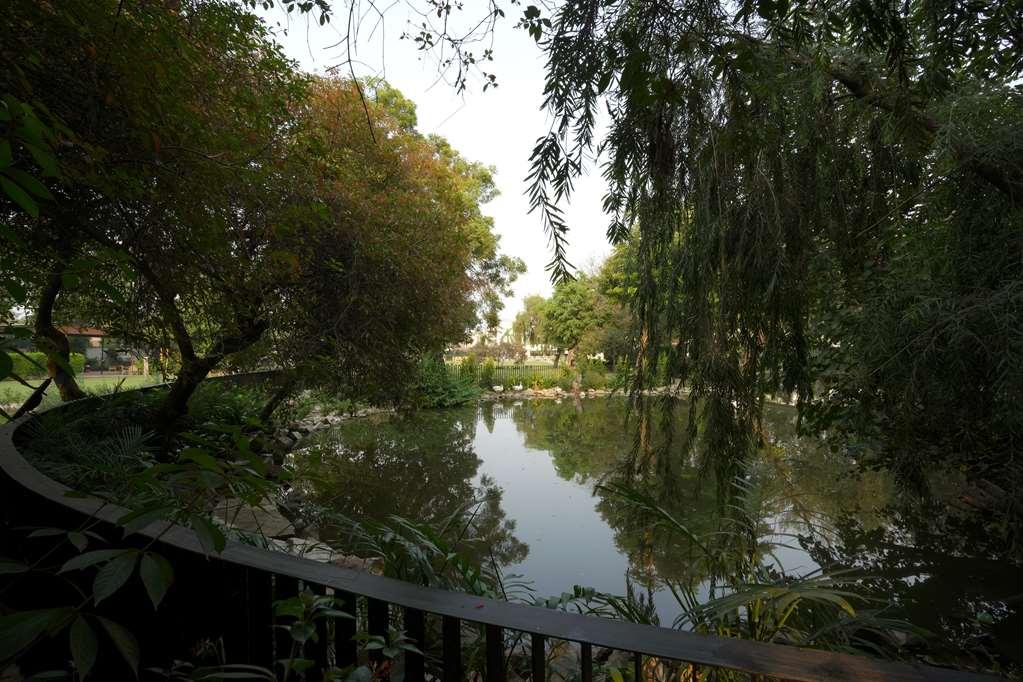 Best Western Resort Country Club Ґурґаон Екстер'єр фото